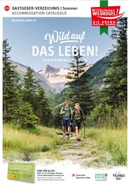 Zwei Wanderer genießen die Natur in den Bergen. Die Landschaft ist grünes Gras und hohe Berge unter einem klaren Himmel.