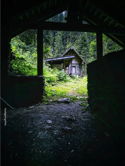Een verlaten huis te midden van dichte vegetatie. De ingang is omringd door stenen muren en biedt uitzicht op de natuur.
