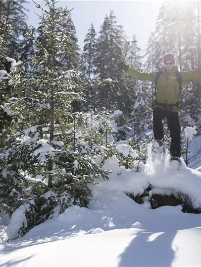 A person joyfully jumps in a snow-covered forest landscape. The sun shines through the trees, creating a winter atmosphere.