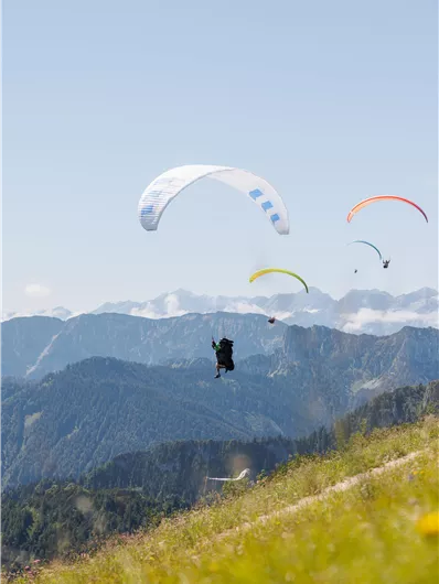 Drei Gleitschirmpiloten fliegen über eine schöne Berglandschaft. Der Himmel ist klar und die Berge sind im Hintergrund sichtbar.