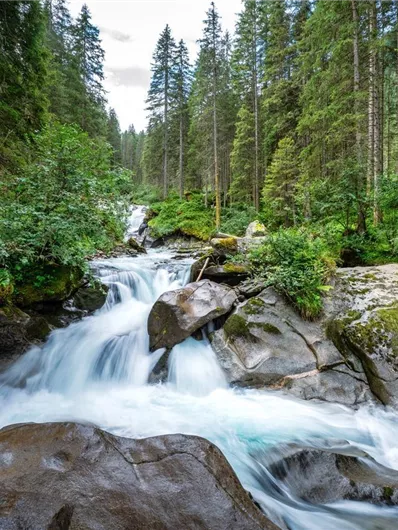Ein klarer Gebirgsfluss fließt zwischen großen Steinen. Dichte Wälder umgeben die Szenerie und verleihen der Landschaft eine ruhige Atmosphäre.