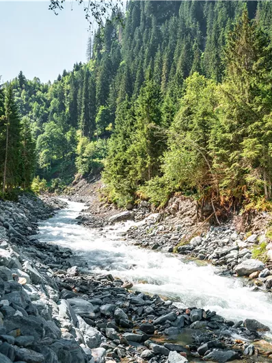 A clear river flows through a green landscape with tall trees. The surroundings are characterized by rocks and lush vegetation.