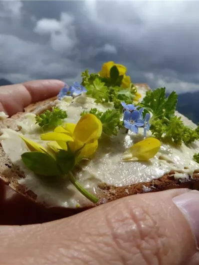 A piece of bread with butter, garnished with colorful flowers and herbs, is held in the hand. The background shows a cloudy mountain landscape.
