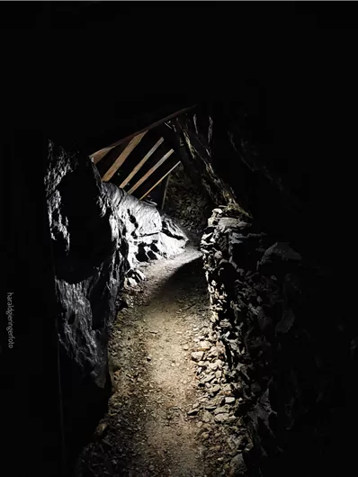 Ein dunkler Tunnel mit einem schmalen Weg und gewebten Wänden aus Gestein. Das Licht am Ende des Tunnels schafft eine geheimnisvolle Atmosphäre.