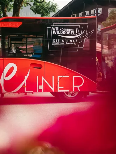 Ein roter Elektrobus mit der Aufschrift „e Liner“ steht an einer Haltestelle. Im Hintergrund sind Bäume und Gebäude sichtbar.