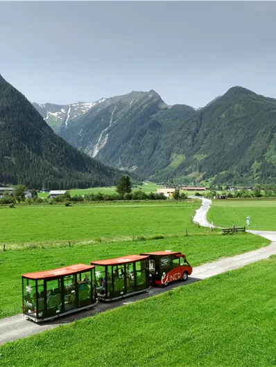 Ein malerisches Tal mit grünen Wiesen und beeindruckenden Bergen im Hintergrund. Ein kleiner Zug fährt auf einer kurvenreichen Straße durch die Landschaft.