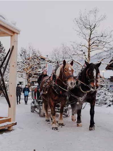 Een paardenslee rit door een besneeuwd landschap. Op de achtergrond zijn wintergebouwen en bomen te zien.