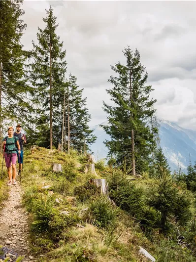 A family is hiking through a forest with tall trees. In the background, mountains and a green valley can be seen.