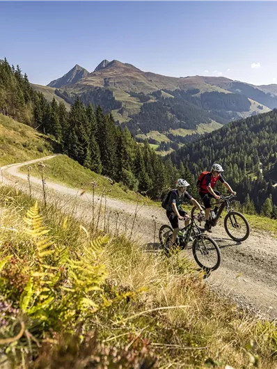 Fietsers rijden over een grindpad door een bos. De omgeving is groen en zonnig.