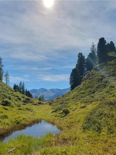 Eine ruhige Landschaft mit grünen Hügeln und einem kleinen Teich. Der Himmel ist klar und die Sonne scheint.