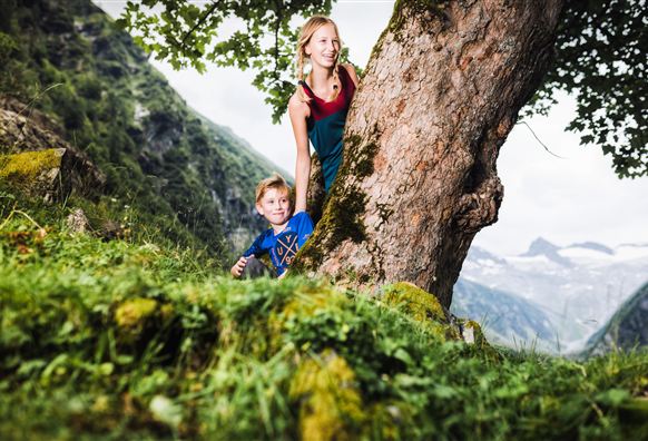 Eine Gruppe von Kindern spielt im Wald und macht eine Waldbingo-Aktivität. Im Vordergrund ist ein Bingo-Zettel mit verschiedenen Waldbildern zu sehen.