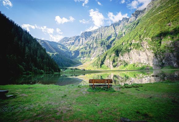 A quiet lake surrounded by majestic mountains and forest. A bench invites you to linger and enjoy the peaceful scenery.