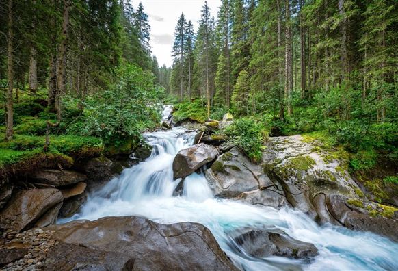 Ein klarer Gebirgsfluss fließt zwischen großen Steinen. Dichte Wälder umgeben die Szenerie und verleihen der Landschaft eine ruhige Atmosphäre.