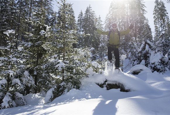 A person joyfully jumps in a snow-covered forest landscape. The sun shines through the trees, creating a winter atmosphere.