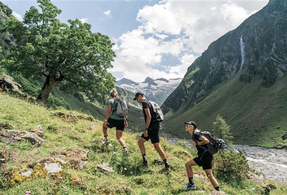 Twee wandelaars verkennen een groene berglandschap onder een heldere lucht. De zon straalt over de majestueuze bergen op de achtergrond.