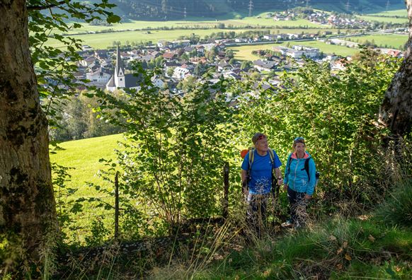 Twee wandelaars lopen op een bospad tussen hoge bomen. De omgeving is groen en uitnodigend.