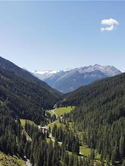 Eine malerische Berglandschaft mit tiefen Tälern und üppigen Wäldern. Im Hintergrund erheben sich majestätische Berge unter einem klaren blauen Himmel.