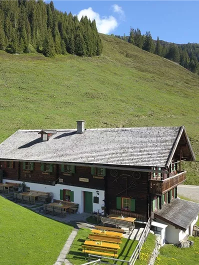 Een idyllische berghut met een houten dak en groene luiken. Omgeven door weilanden en bossen op de achtergrond.