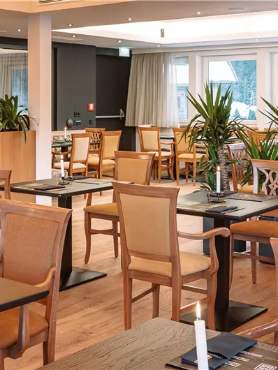 An elegant restaurant area with wooden tables and comfortable chairs. Green plants contribute to an inviting atmosphere.