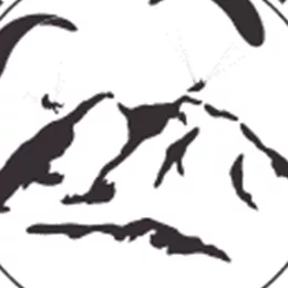 Ein Logo für Tandem Paragleiten am Wildkogel. Es zeigt stilisierte Berge und Paragleiter.