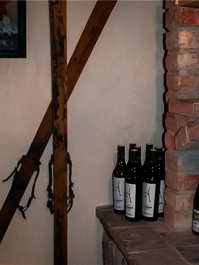 A cozy room with an open fireplace, where many wine bottles are standing on a shelf. On the wall, there are wooden supports and a decorative picture.