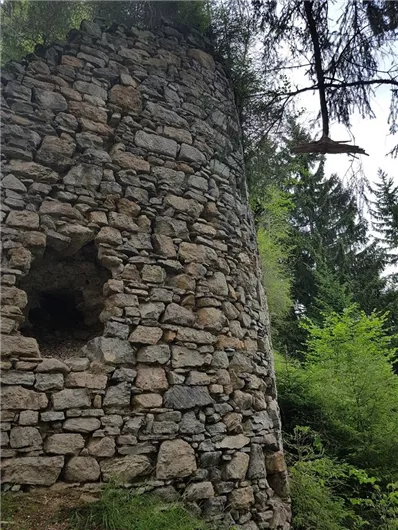 Eine alte Steinruine in einem Wald. Grüne Bäume umgeben die Mauer und schaffen eine ruhige Atmosphäre.