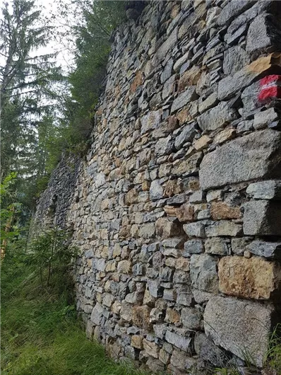 Eine alte Steinmauer, umgeben von Bäumen und Pflanzen. Die Mauer ist aus unterschiedlich großen Steinen gebaut und zeigt Anzeichen von Verwitterung.