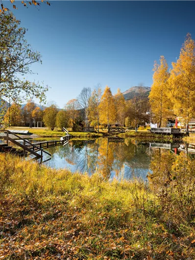 Ein ruhiger See umgeben von bunten Herbstbäumen. Die Sonne scheint auf das Wasser und reflektiert die Landschaft.
