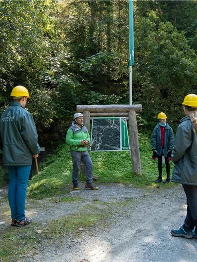 A group of people with yellow helmets is standing outdoors and listening to a speaker. The scene takes place in a forested area.