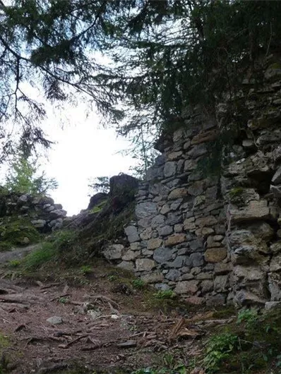 Eine ruhige Waldlandschaft mit alten Steinruinen und hohen Bäumen. Der Weg ist von Moos und Wurzeln gesäumt.