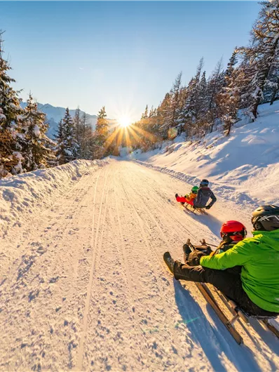 Eine malerische Winterlandschaft mit schneebedecktem Weg und Tannenbäumen. Menschen genießen das Rodeln bei Sonnenuntergang.