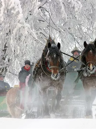 Two horses pull a horse-drawn sled through a snowy landscape. People in warm clothing enjoy the wintry surroundings.