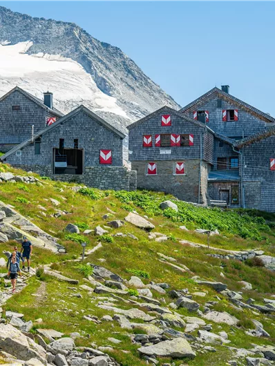 Een groep traditionele chalet huizen staat in een bergachtig landschap. Op de achtergrond zijn sneeuwbedekte toppen en een groene weide te zien.