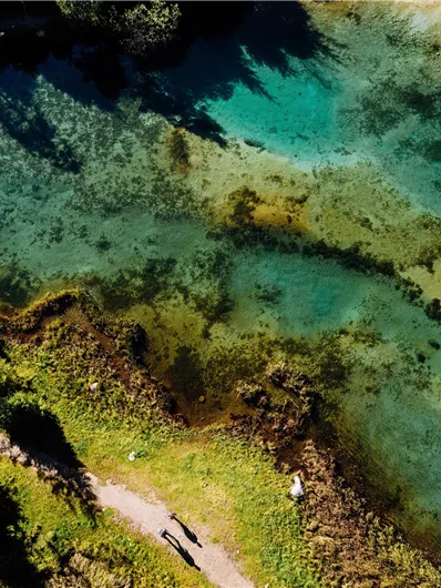 Eine klare, glitzernde Wasserfläche mit verschiedenen Grüntönen. Am Ufer verläuft ein kleiner Weg, umgeben von üppigem Gras und Bäumen.