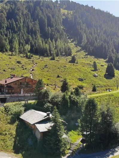 Eine malerische Berglandschaft mit grünen Wiesen und dichten Wäldern. Im Vordergrund sind zwei Hütten und kurvenreiche Wege sichtbar.