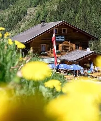 A charming wooden house in nature, surrounded by green mountains. In the foreground, yellow dandelions are blooming.