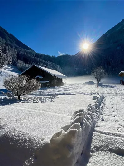 A snowy landscape with a wooden house and bushes. The sun shines brightly in the sky and illuminates the serene winter landscape.