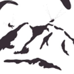 A logo for tandem paragliding at Wildkogel. It features stylized mountains and paragliders.