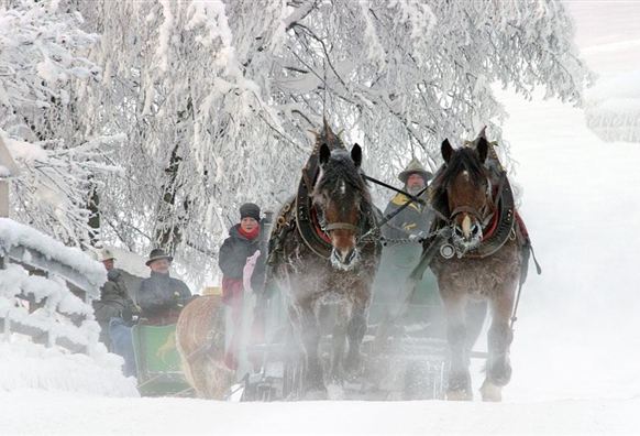 Two horses pull a horse-drawn sled through a snowy landscape. People in warm clothing enjoy the wintry surroundings.