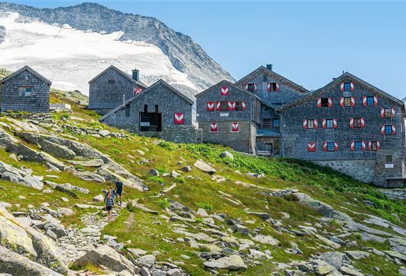 A group of traditional chalet houses stands in a mountainous landscape. In the background, snow-covered peaks and a green meadow can be seen.