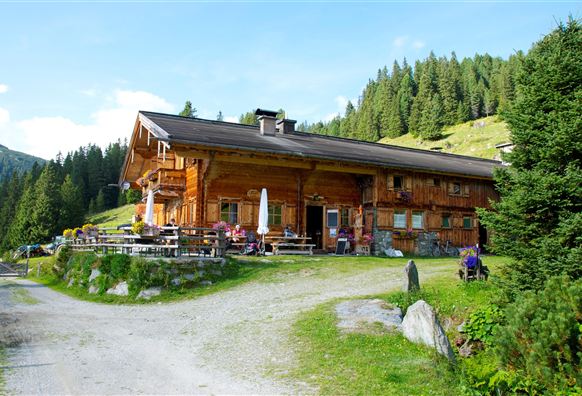 A traditional wooden alpine hut, surrounded by green meadows and forest. There are outdoor seating areas and guests enjoy the scenery.