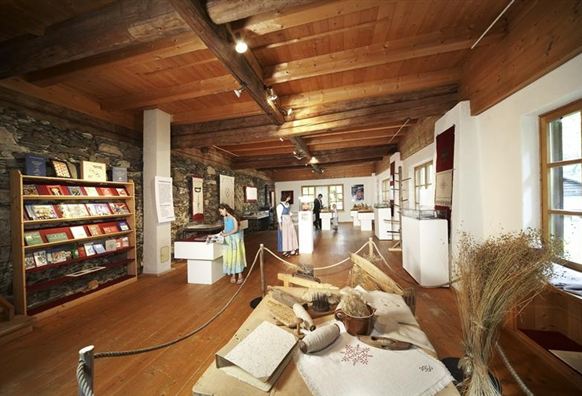 A museum with a wooden ceiling and exhibits. In the background, there are bookshelves and visitors to be seen.