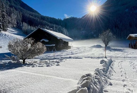 Een besneeuwd landschap met een houten huis en struiken. De zon schijnt helder aan de hemel en verlicht het rustige winterlandschap.