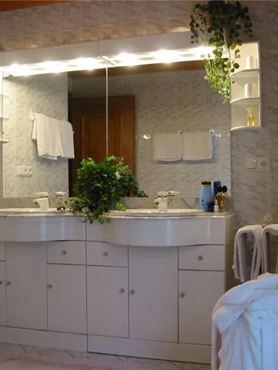 Een badkamer met een grote spiegel en een dubbele wastafel. De inrichting is licht en er zijn enkele groene planten te zien.