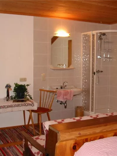 Een gezellige kamer met een bed, een tafel en stoelen. Op de achtergrond is er een douche en een wastafel.