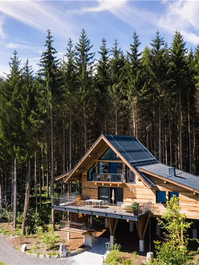 Een mooi houten huis te midden van een bos met hoge dennen. De omgeving is groen en uitnodigend, perfect voor natuurliefhebbers.