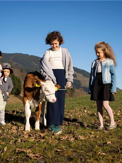A group of children stands in a meadow. They are looking at a calf under a blue sky and mountains.