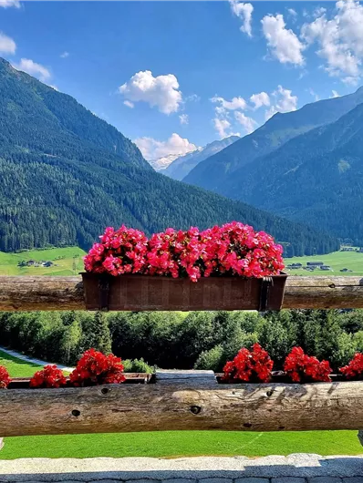 A picturesque mountain landscape with lush greenery and tall mountains. In the foreground, colorful flowers are placed on a wooden railing.