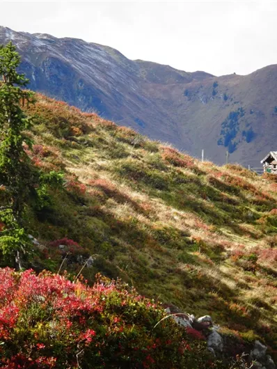 Eine traumhafte Herbstwanderung mit unseren Wanderguides.