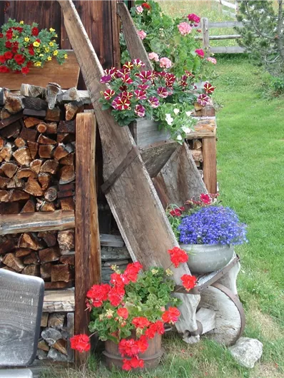 Eine gemütliche Ecke mit Holzscheiten und bunten Blumen in Töpfen.